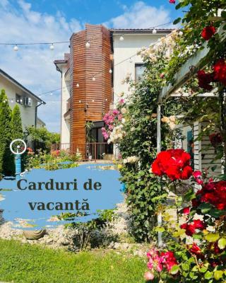Vila Viorica