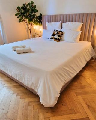 Jazzy et Spacieux Appartement Prom des Anglais