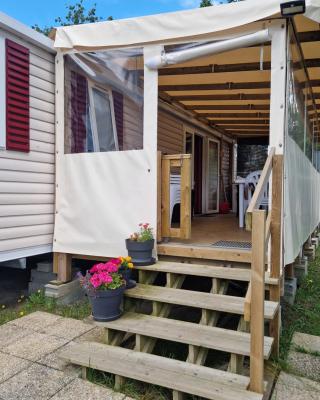 mobil home 441