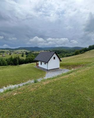 Biesiedlisko Bieszczadzkie