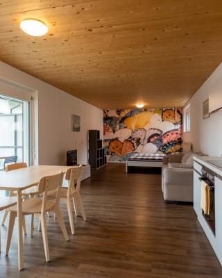 FLEXhome your central, calm and cosy place in Dornbirn