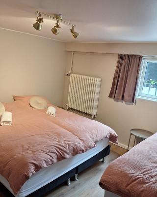 Singasteinn guesthouse