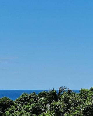 Joli T2 en bas de villa vue jardin et mer