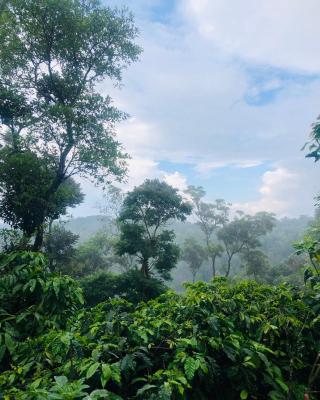 Swapna Estate Stay Coorg