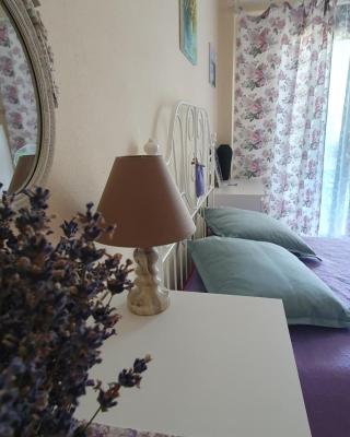 Galini apartments Kriopigi
