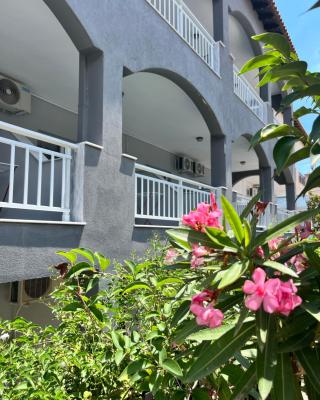 ELPIDA View