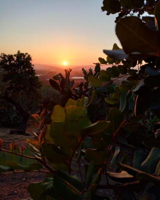 Ronnavona Casa Vacanze B&B