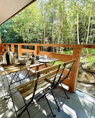 Le lodge de l alpage - Ski in ski out - 2 chambres 1 cabine
