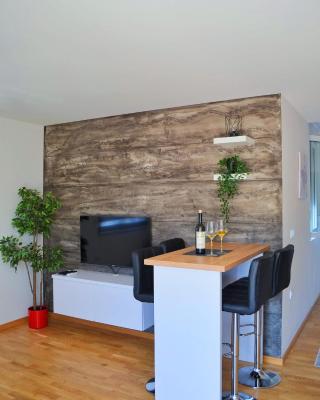 Penthaus apartman NOVAK