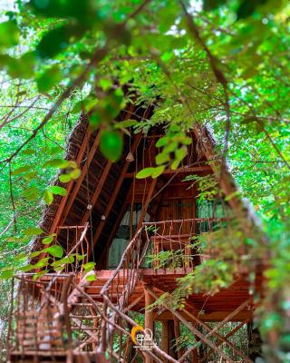 Habarana Tree House Ambasewana Resort