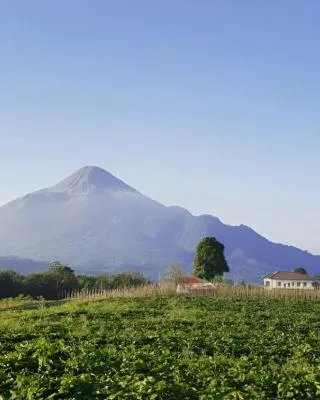 Avila Ketapan Rame Hotel