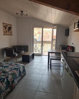 Studio 2 étoiles "Le Balcon du Dôme"