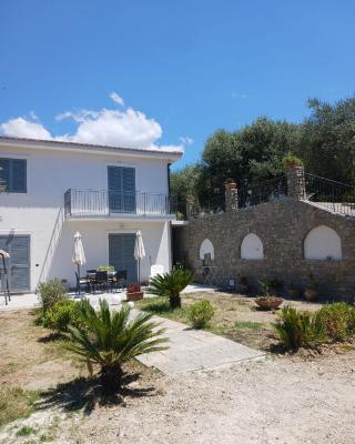 villa tra uliveti e mare