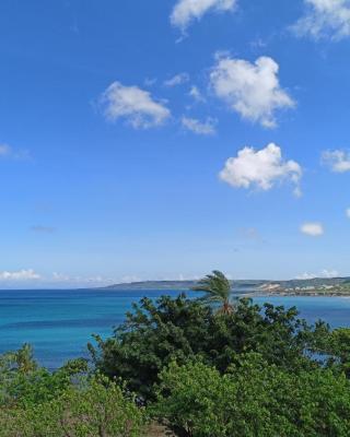 La View 麗晨 Homestay