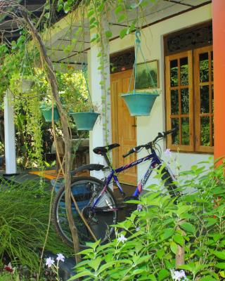 Nature Night Homestay