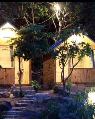 Mèo Home - Bụi Homestay