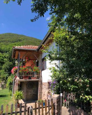 Stara planina, smestaj Ćirković