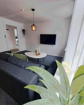Cozy 1 bedroom apartment A
