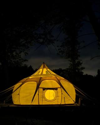 Nuit étoilée en pleine Nature