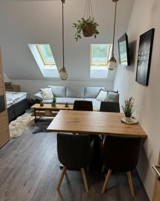 Apartmány Rak Jestřábí