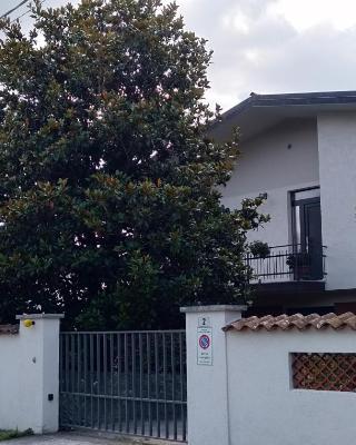 Alla Magnolia