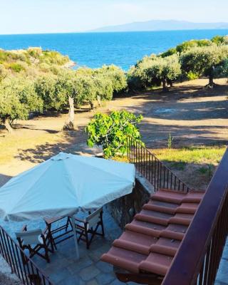 Olive By the Sea