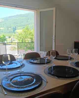 Grand appartement neuf au calme