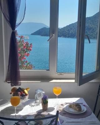Apartman Vito