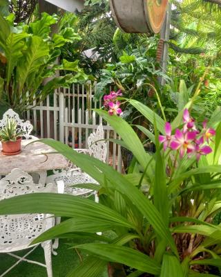 Hidden Tourist Inn