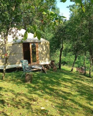 Romantic yurt in Apuseni mountains