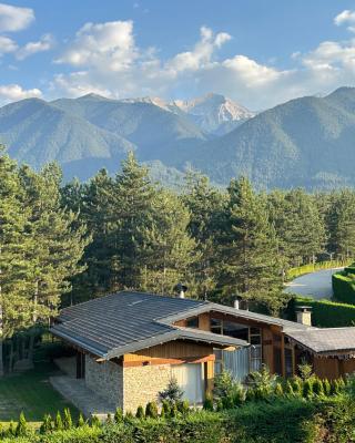 Pirin Golf Mountain Apartment