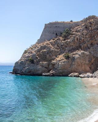 Sea la vie