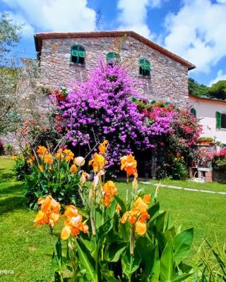 IL CASALE DEL MAGRA