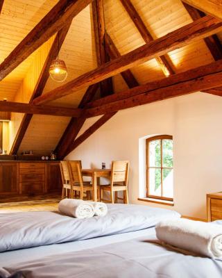 Apartmány Temechov