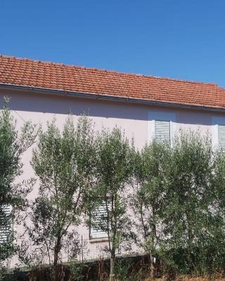 Apartments Tomas