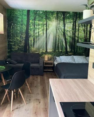 Apartmán Vrbno pod Pradědem