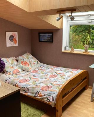 Chambre au calme à Arradon