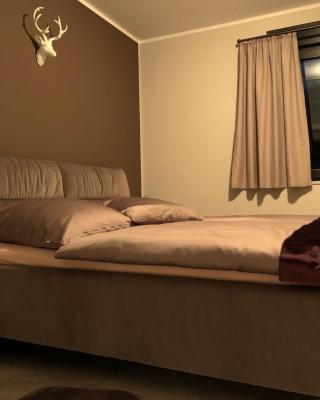 Apartment Leopold