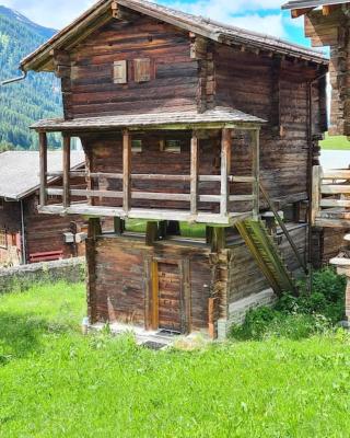 Rustic Alpine 1BR Getaway- Unwind and Reconnect