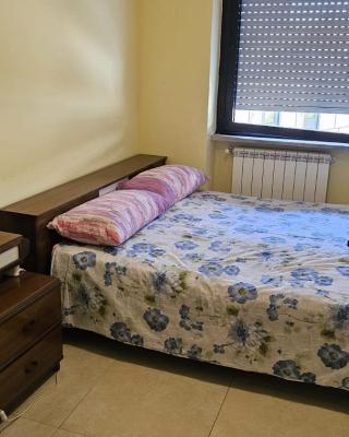 Cozy Rooms Rome