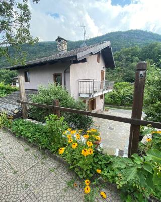 La casa nel bosco