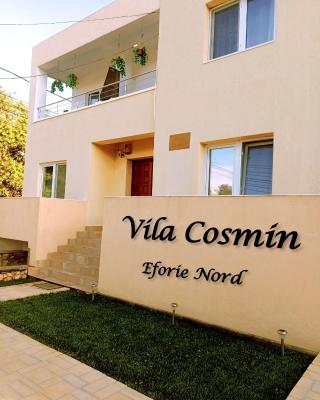VILA COSMIN