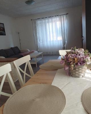Apartmán Silvie