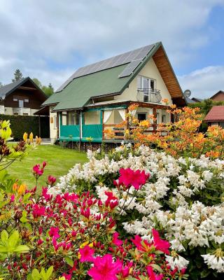 Polańczyk Dom, Apartamenty - Leśny Domek Polańczyk