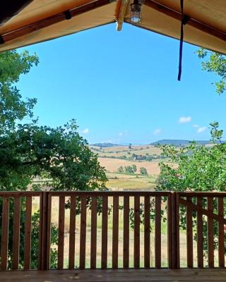 Glamping Podere Angiotto LODGE LAVANDA