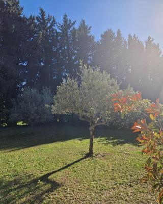 le mazet de LOÏS