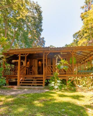 Casa Viva Eco Lodge