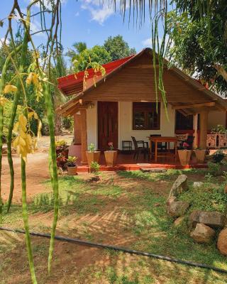 Jungle Eco Lodge & Safari