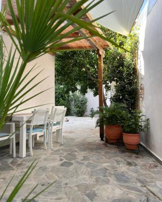 Maria's jasmine