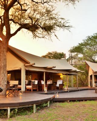 Rhino Walking Safaris